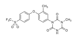 Toltrazuril sulfone Ponazuril