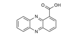 https://auftragssynthese.com/wp-content/uploads/2020/05/OP191-250x125.png