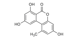 https://auftragssynthese.com/wp-content/uploads/2025/05/MT012-1-250x125.png